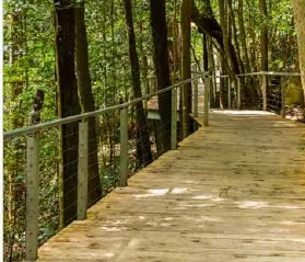 → ELEVATED CYCLING TRACK